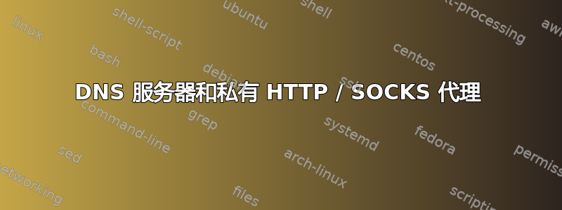 DNS 服务器和私有 HTTP / SOCKS 代理