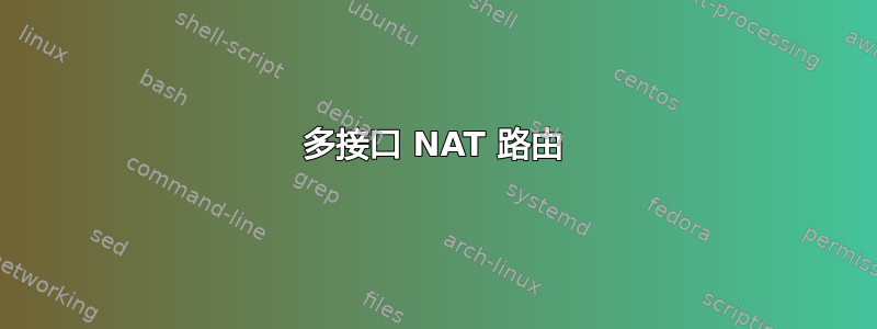 多接口 NAT 路由