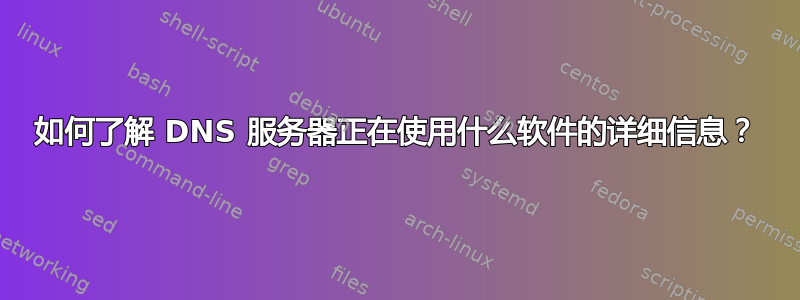 如何了解 DNS 服务器正在使用什么软件的详细信息？