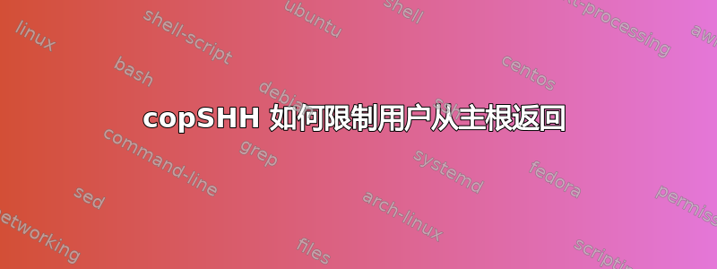 copSHH 如何限制用户从主根返回