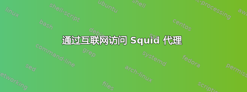 通过互联网访问 Squid 代理