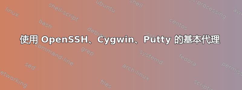 使用 OpenSSH、Cygwin、Putty 的基本代理