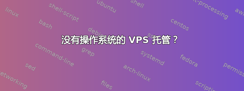 没有操作系统的 VPS 托管？