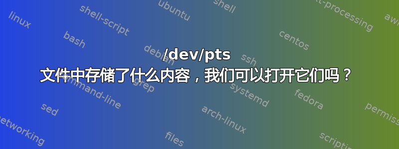 /dev/pts 文件中存储了什么内容，我们可以打开它们吗？