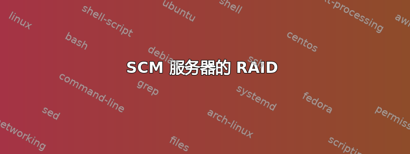 SCM 服务器的 RAID