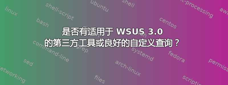 是否有适用于 WSUS 3.0 的第三方工具或良好的自定义查询？