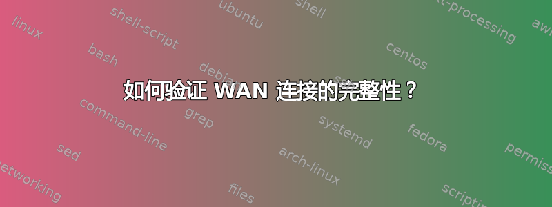 如何验证 WAN 连接的完整性？