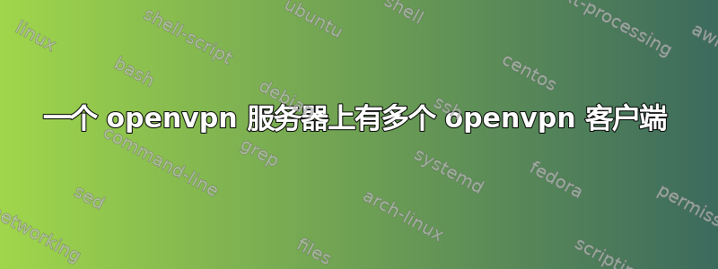 一个 openvpn 服务器上有多个 openvpn 客户端