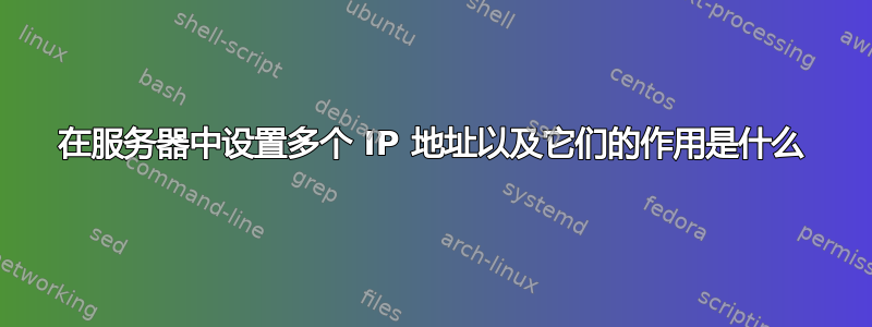 在服务器中设置多个 IP 地址以及它们的作用是什么