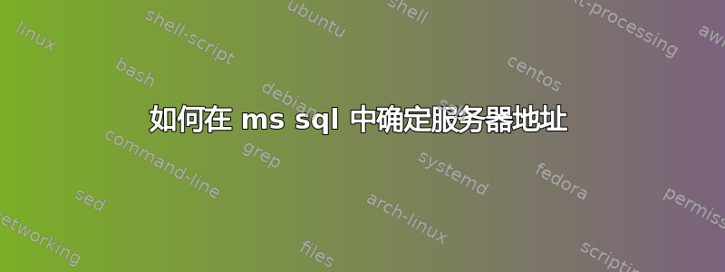 如何在 ms sql 中确定服务器地址