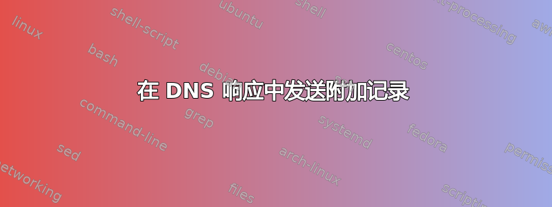 在 DNS 响应中发送附加记录