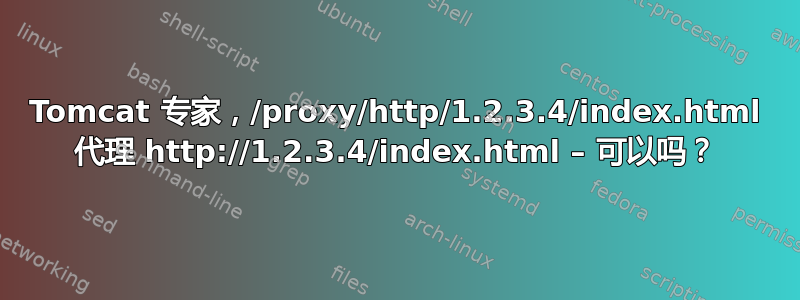 Tomcat 专家，/proxy/http/1.2.3.4/index.html 代理 http://1.2.3.4/index.html – 可以吗？