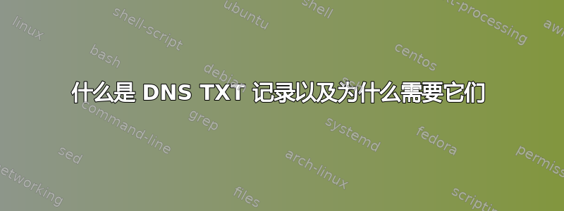 什么是 DNS TXT 记录以及为什么需要它们