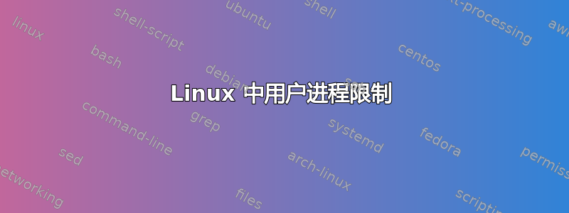 Linux 中用户进程限制