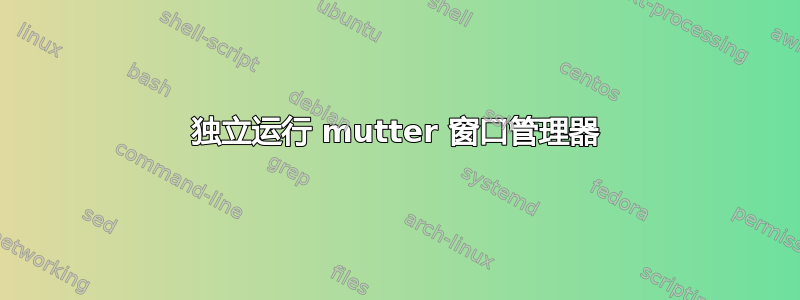 独立运行 mutter 窗口管理器