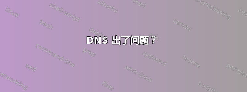 DNS 出了问题？