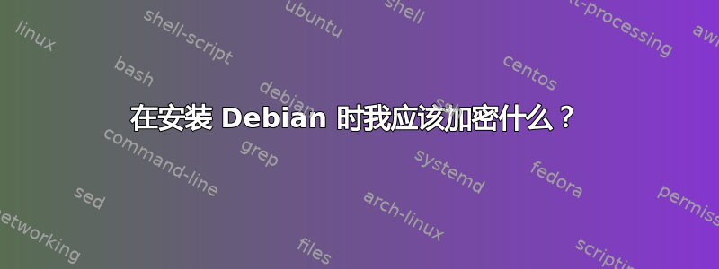 在安装 Debian 时我应该加密什么？