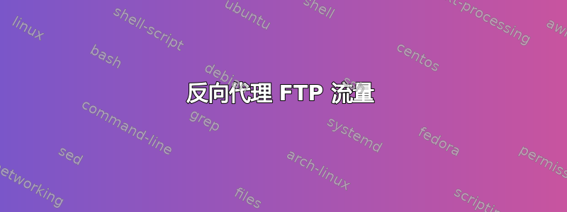 反向代理 FTP 流量