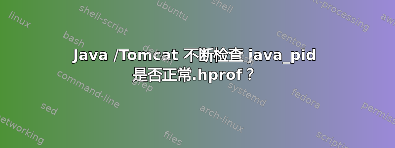 Java /Tomcat 不断检查 java_pid 是否正常.hprof？