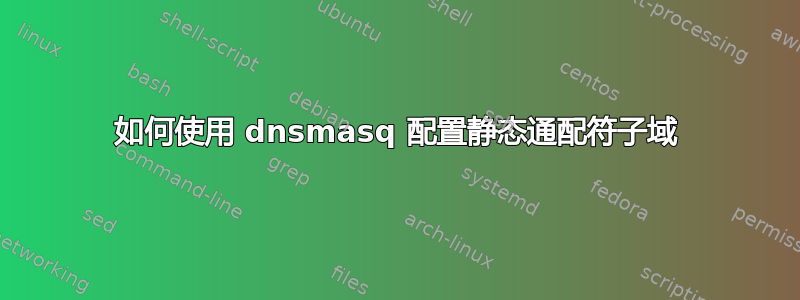 如何使用 dnsmasq 配置静态通配符子域