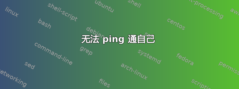 无法 ping 通自己