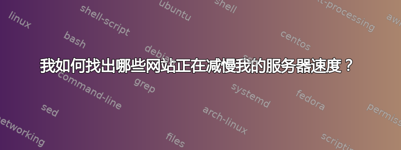 我如何找出哪些网站正在减慢我的服务器速度？