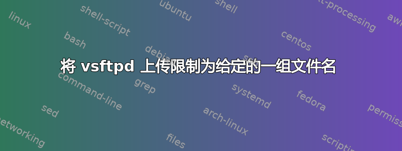 将 vsftpd 上传限制为给定的一组文件名