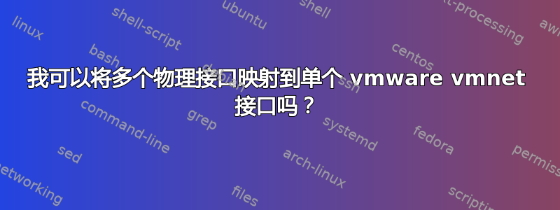 我可以将多个物理接口映射到单个 vmware vmnet 接口吗？