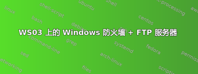 WS03 上的 Windows 防火墙 + FTP 服务器