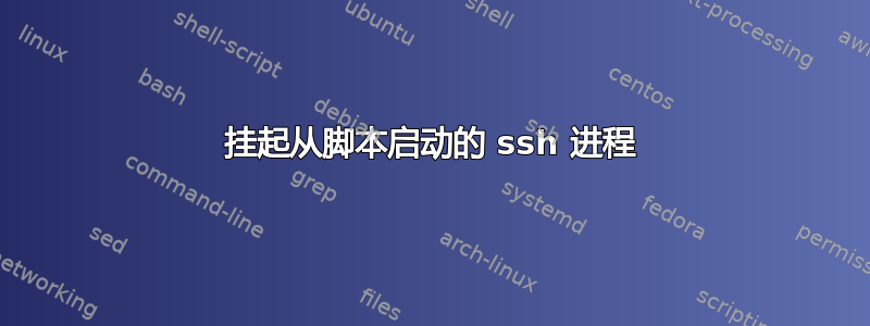 挂起从脚本启动的 ssh 进程