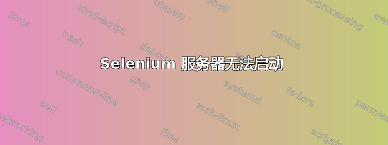 Selenium 服务器无法启动