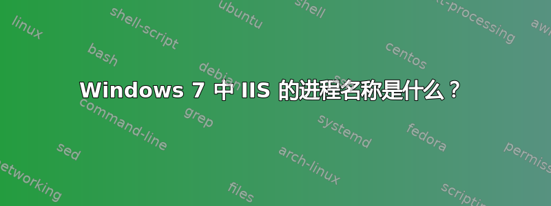 Windows 7 中 IIS 的进程名称是什么？