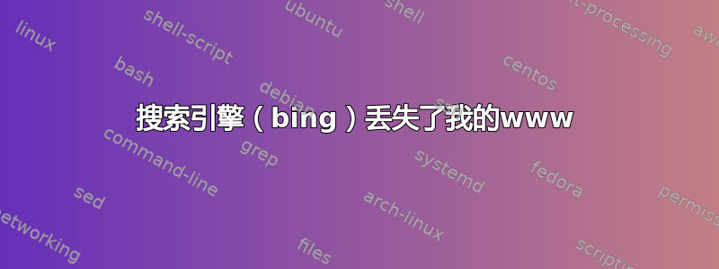 搜索引擎（bing）丢失了我的www