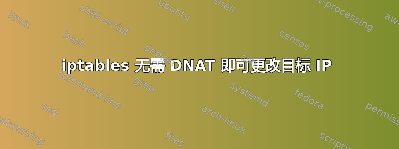 iptables 无需 DNAT 即可更改目标 IP