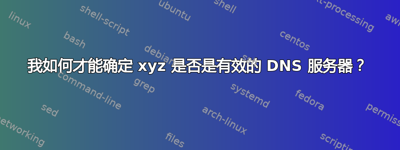 我如何才能确定 xyz 是否是有效的 DNS 服务器？