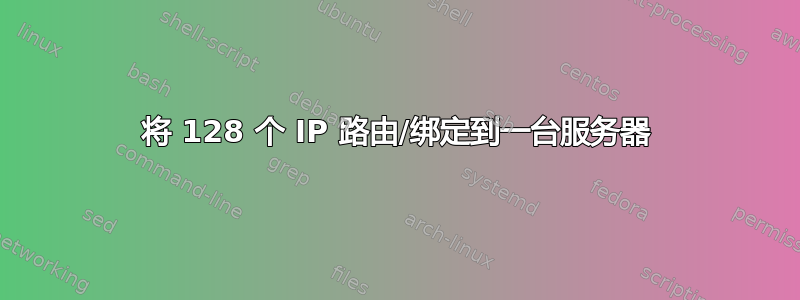 将 128 个 IP 路由/绑定到一台服务器