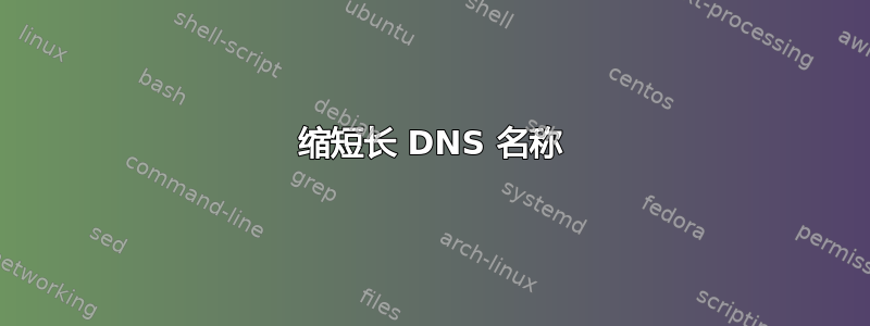 缩短长 DNS 名称