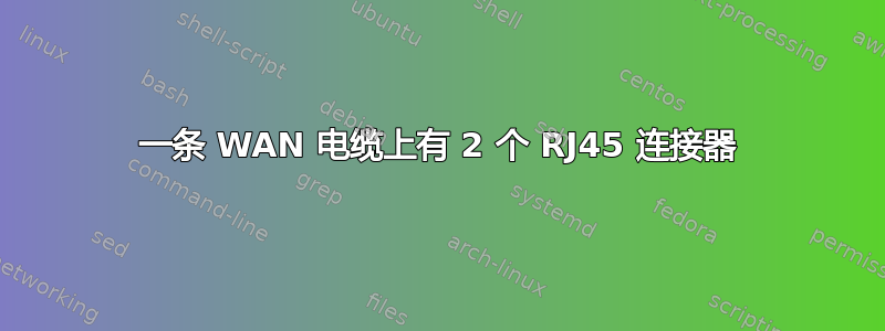 一条 WAN 电缆上有 2 个 RJ45 连接器