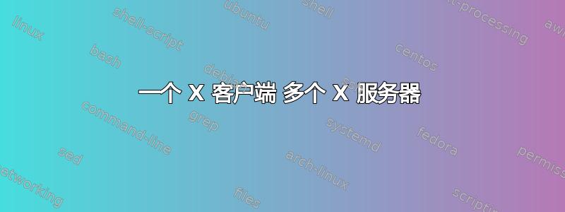 一个 X 客户端 多个 X 服务器