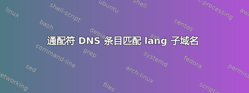 通配符 DNS 条目匹配 lang 子域名