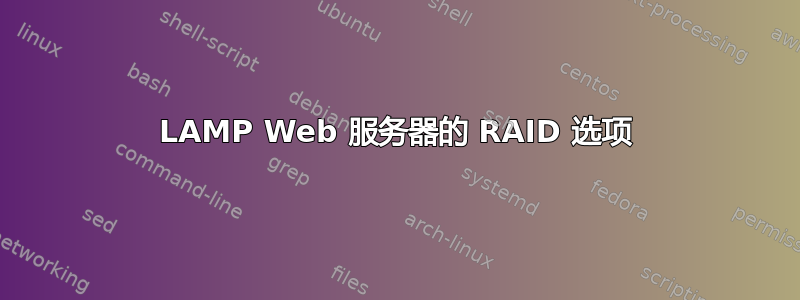 LAMP Web 服务器的 RAID 选项