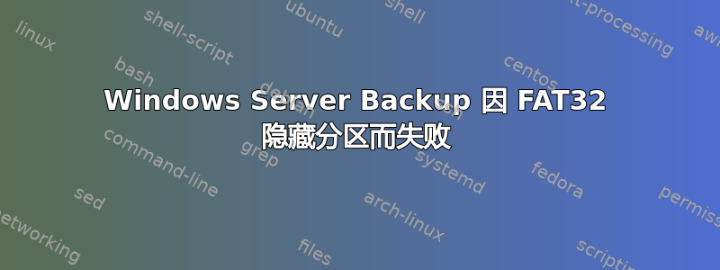 Windows Server Backup 因 FAT32 隐藏分区而失败