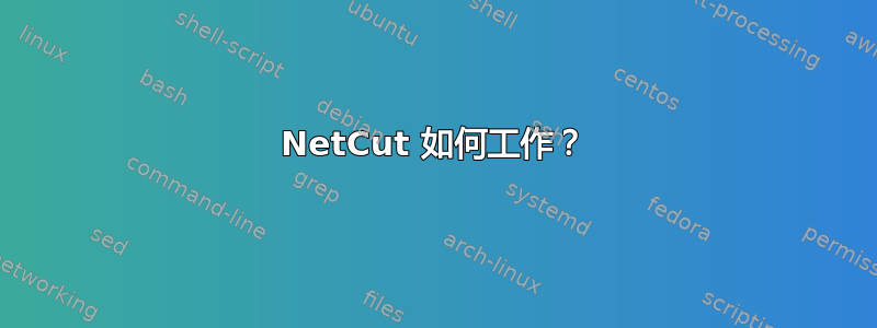 NetCut 如何工作？