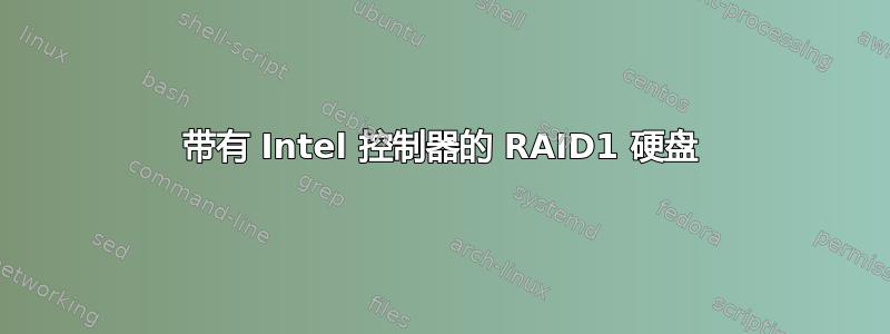 带有 Intel 控制器的 RAID1 硬盘