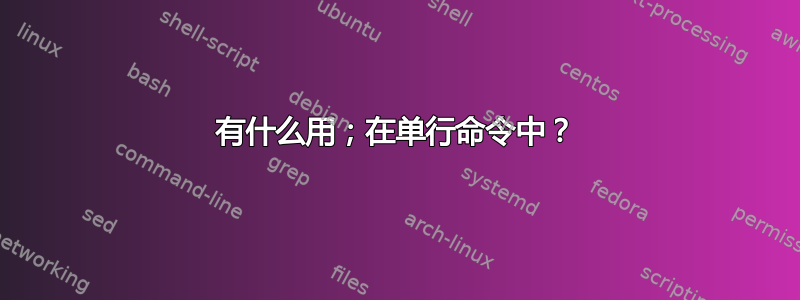 有什么用；在单行命令中？