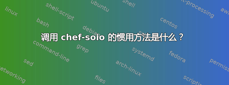 调用 chef-solo 的惯用方法是什么？