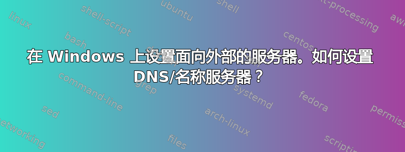 在 Windows 上设置面向外部的服务器。如何设置 DNS/名称服务器？