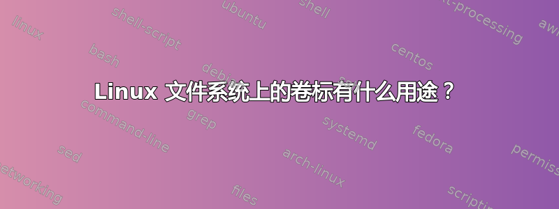 Linux 文件系统上的卷标有什么用途？