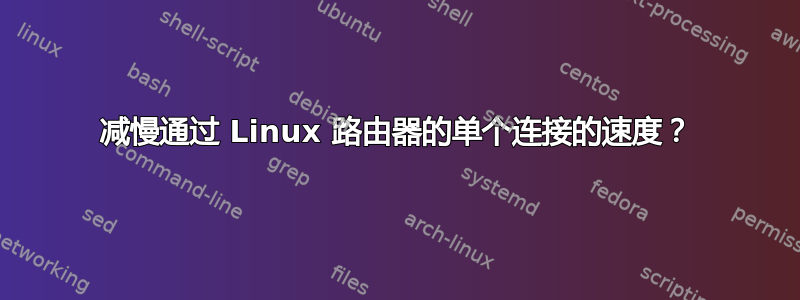 减慢通过 Linux 路由器的单个连接的速度？