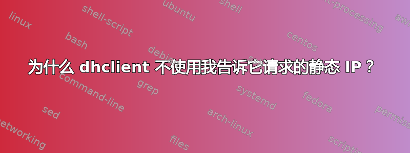 为什么 dhclient 不使用我告诉它请求的静态 IP？